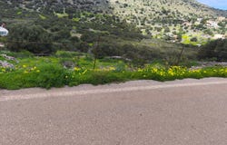 Kato Pines, Crete 72100