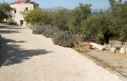 Tsivaras, Crete 73003