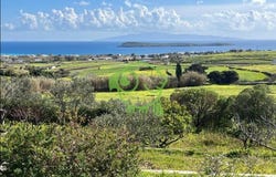 Paros, South Aegean 84400
