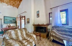 Neochori, Central Greece 35006