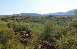 Vrachasi, Lasithi Prefecture 72100