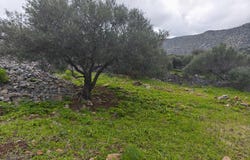 Elounda, Crete 72053