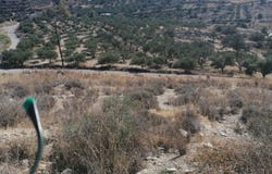 Tibaki, Crete 70200