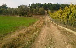 Kassandra, Chalkidiki 63007