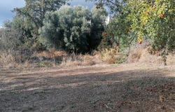 Tibaki, Crete 70200