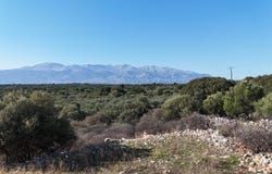 Drapanos, Drapanos, Crete Island 730 08