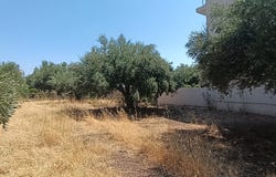 Kritsa, Crete 72051