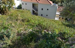 Kassandra, Chalkidiki 63077