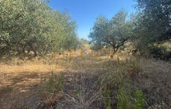 Mathes, Crete 73007