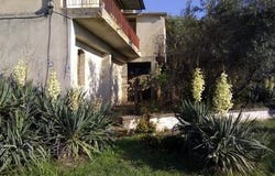 Petritsi, Serres Prefecture 62043