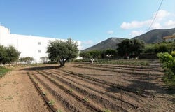 Chersonisos, Heraklion Prefecture 70014