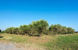 Epanomi, Thessaloniki - Suburbs 57500