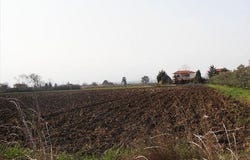 Katerini, Pieria Prefecture 60150