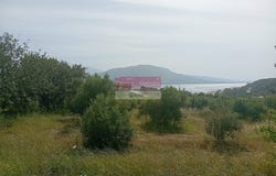 Sternes, Crete
