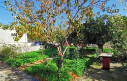 Maleme, Crete 73014