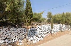 Agios Nikolaos, Lasithi