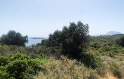 Chania, Crete 73131