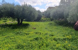 Kato Pines, Crete 72100
