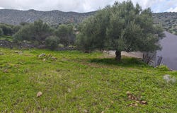 Elounda, Crete 72053