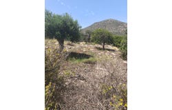 Agios Nikolaos, Crete 72100