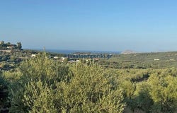 Platania, Thessalía