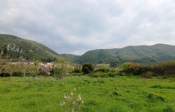 Corfu, Corfu Prefecture 49083