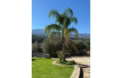 Vafes, Crete 73007