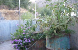 Kritsa, Crete 72051