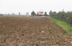 Katerini, Pieria Prefecture 60150