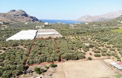 Damnoni, Crete 74060