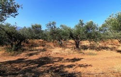 Vrachasi, Lasithi Prefecture 72100