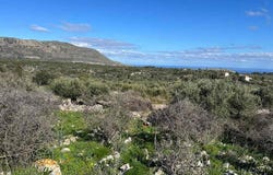 Paleloni, Crete 73008