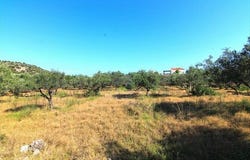 Vrachasi, Lasithi Prefecture 72400