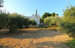 Gouves, Heraklion Prefecture 71003