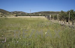 Isterni, South Aegean 84400