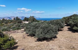 Episkopi, Episkopi, Crete Island 740 55