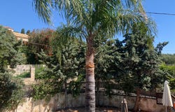 Kolimvari, Crete 73006