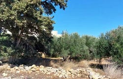 Sitia, Kríti 723 00