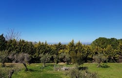 Kassandra, Chalkidiki