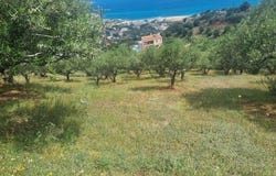 Sitia, Lasithi 72300