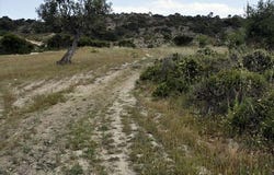 Sithonia, Chalkidiki 63078