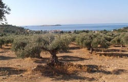 Thásos, Macedonia