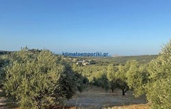 Platania, Thessalía
