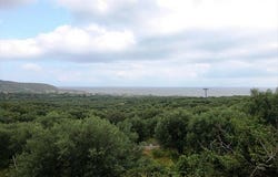 Neapoli, Lasithi Prefecture 72100