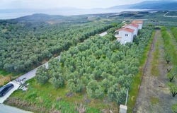 Orfano, Kavala Prefecture