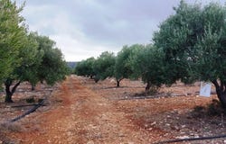 Skopi, Crete