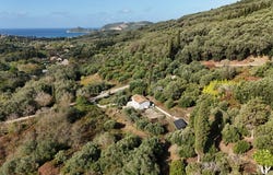Corfu, Macedonia and Thrace 490 83