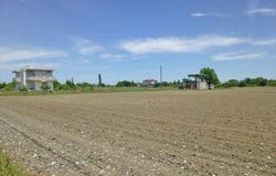 Katerini, Pieria Prefecture 60150