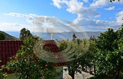 Myli, Central Greece 34001