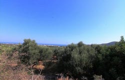 Vrachasi, Lasithi Prefecture 72100